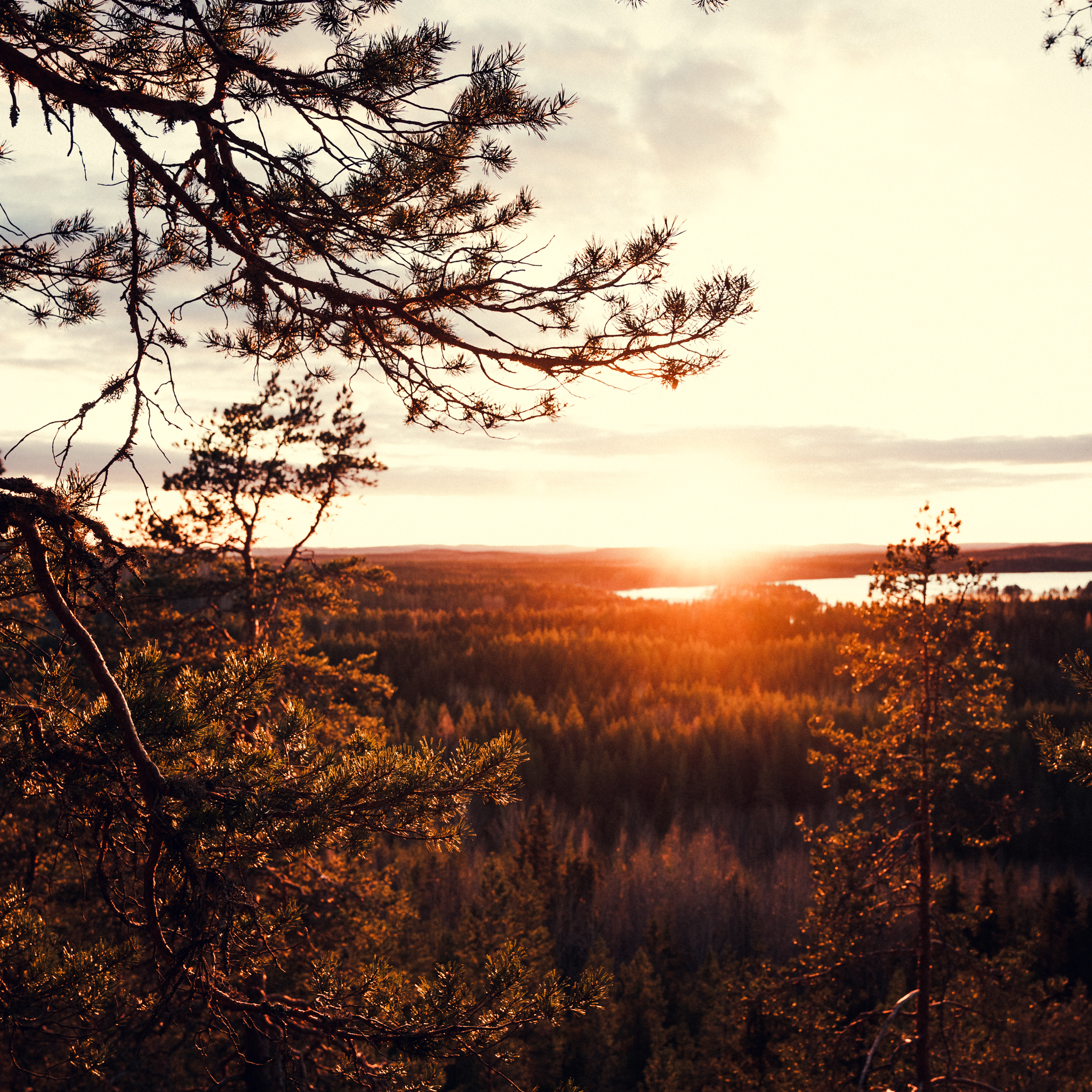 Hyypää auringonlasku